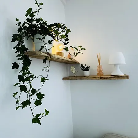 Apartment Le Piccolo - Cosy - Wifi *